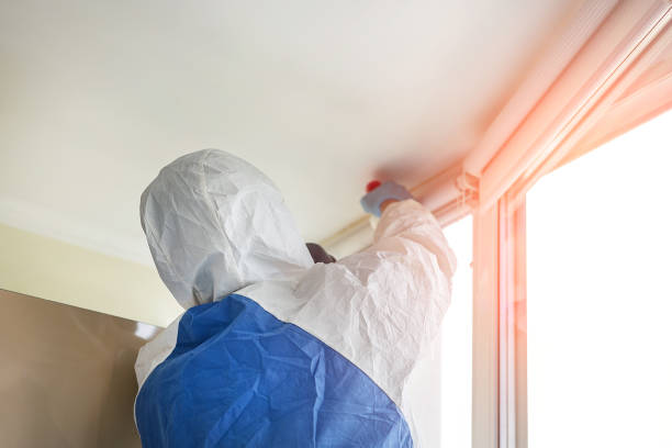 Best Asbestos and Lead Testing During Mold Inspection in Chestertown, MD